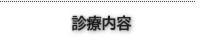 診療内容
